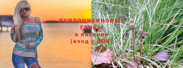 синтетический гашиш Белокуриха