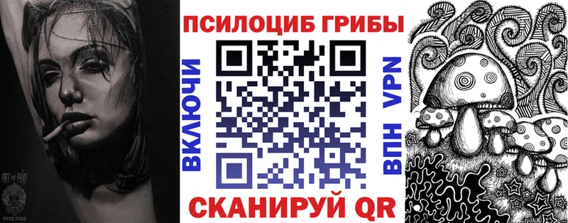 гидра зеркало  Курильск  Псилоцибиновые грибы MAGIC MUSHROOMS 